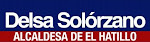 La página WEB de Delsa