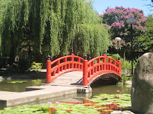 Imagenes de mi ciudad