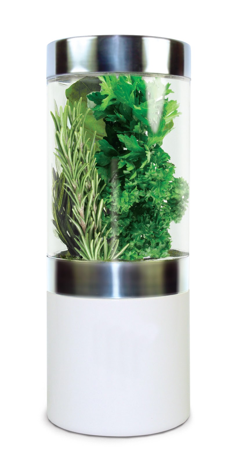 Gadget Freak Fresh Herbs Transform Basic Food into Flavorful Dishes!