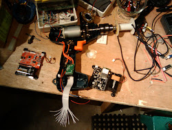 chicken wifi door slinky