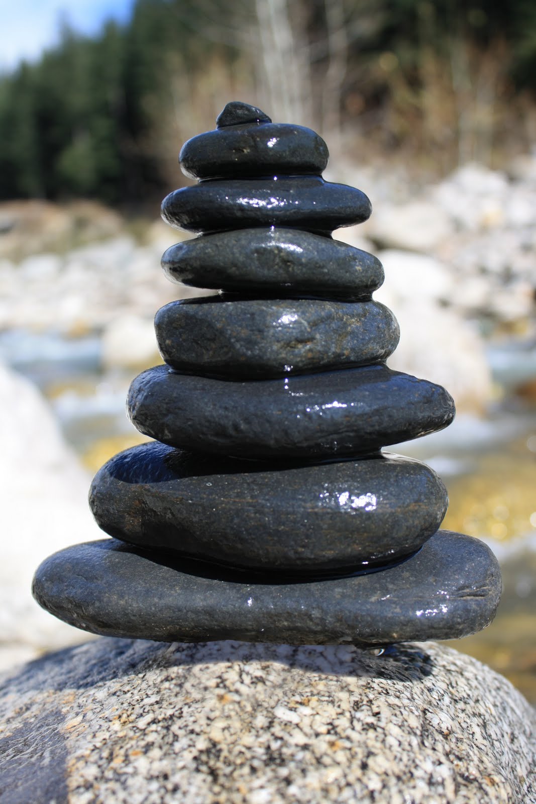 [001equilibrio]