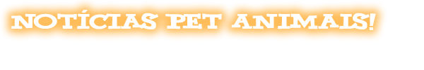 Notícias Pet Animais!!!
