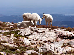 On top of the world
