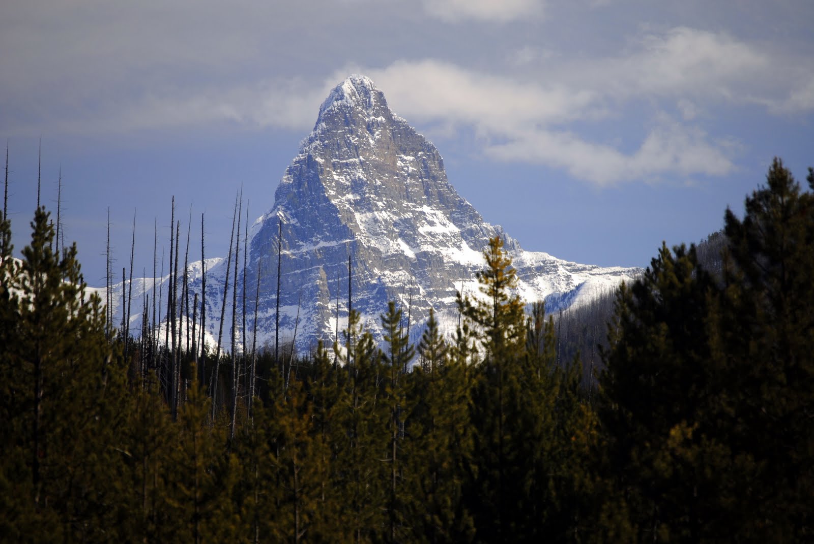 [_DSC1515.JPG]