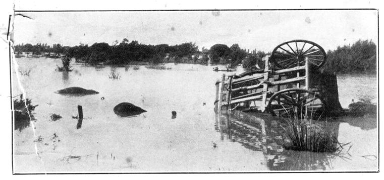 [Blenheim+coach.b.jpg]