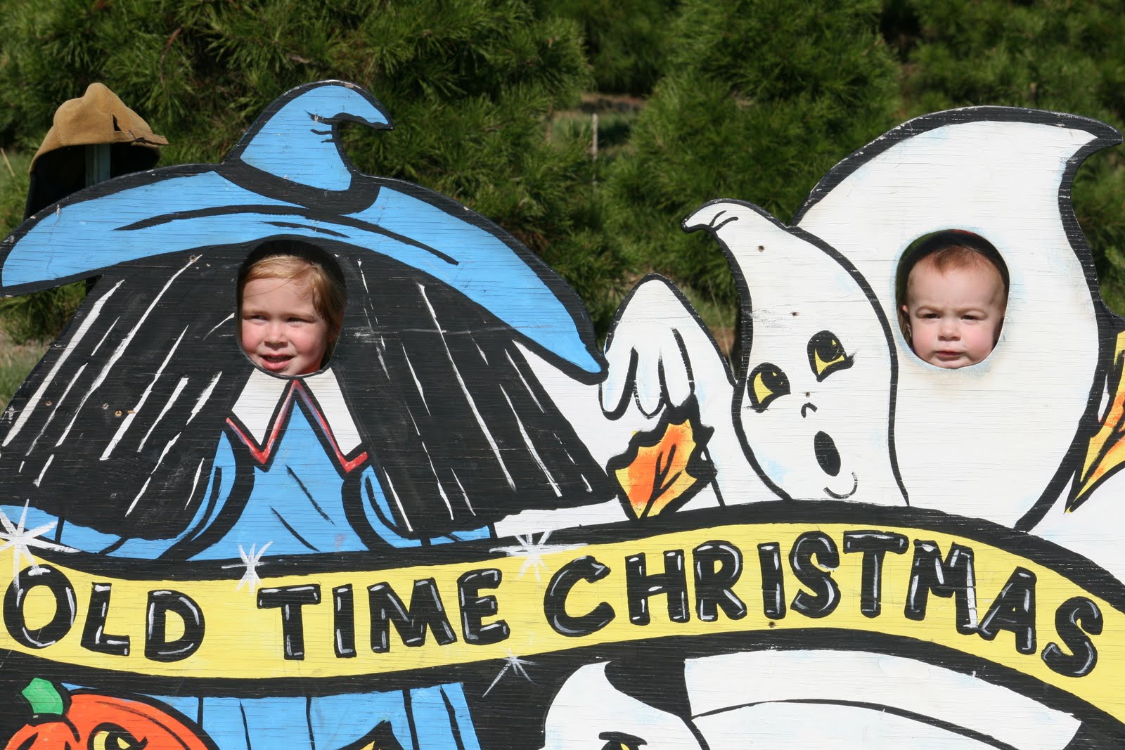 Adding to the family...............: Pumpkin Patch 2010