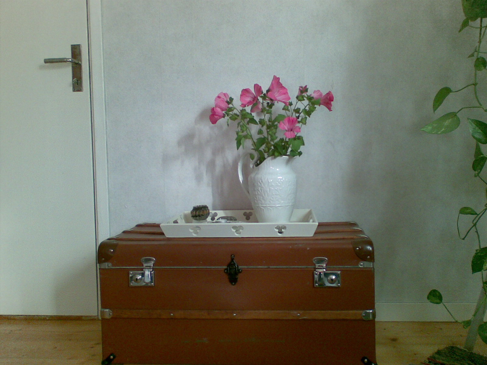 Rose de Rescht