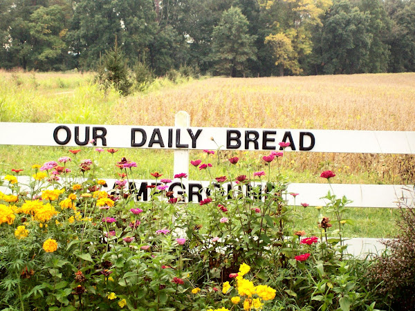 Our Daily Bread Christian Healthcare, Lifestyle Center, Campground