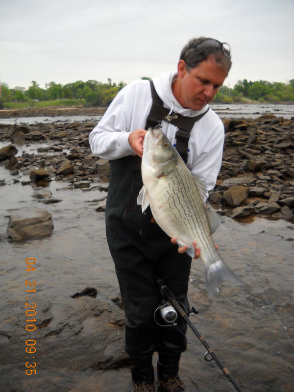 Tulsa Striper Fishing Hybrid Striped Bass