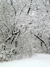 Snow, So Beautiful