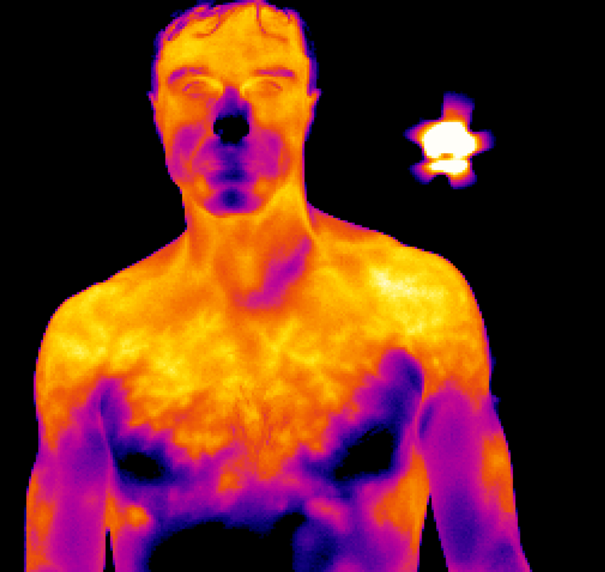 катран 2м тепловизор. тепловизор спектр. тепловизор спектр. тепловизор спектр. спектр теплового излучения тепловизора.