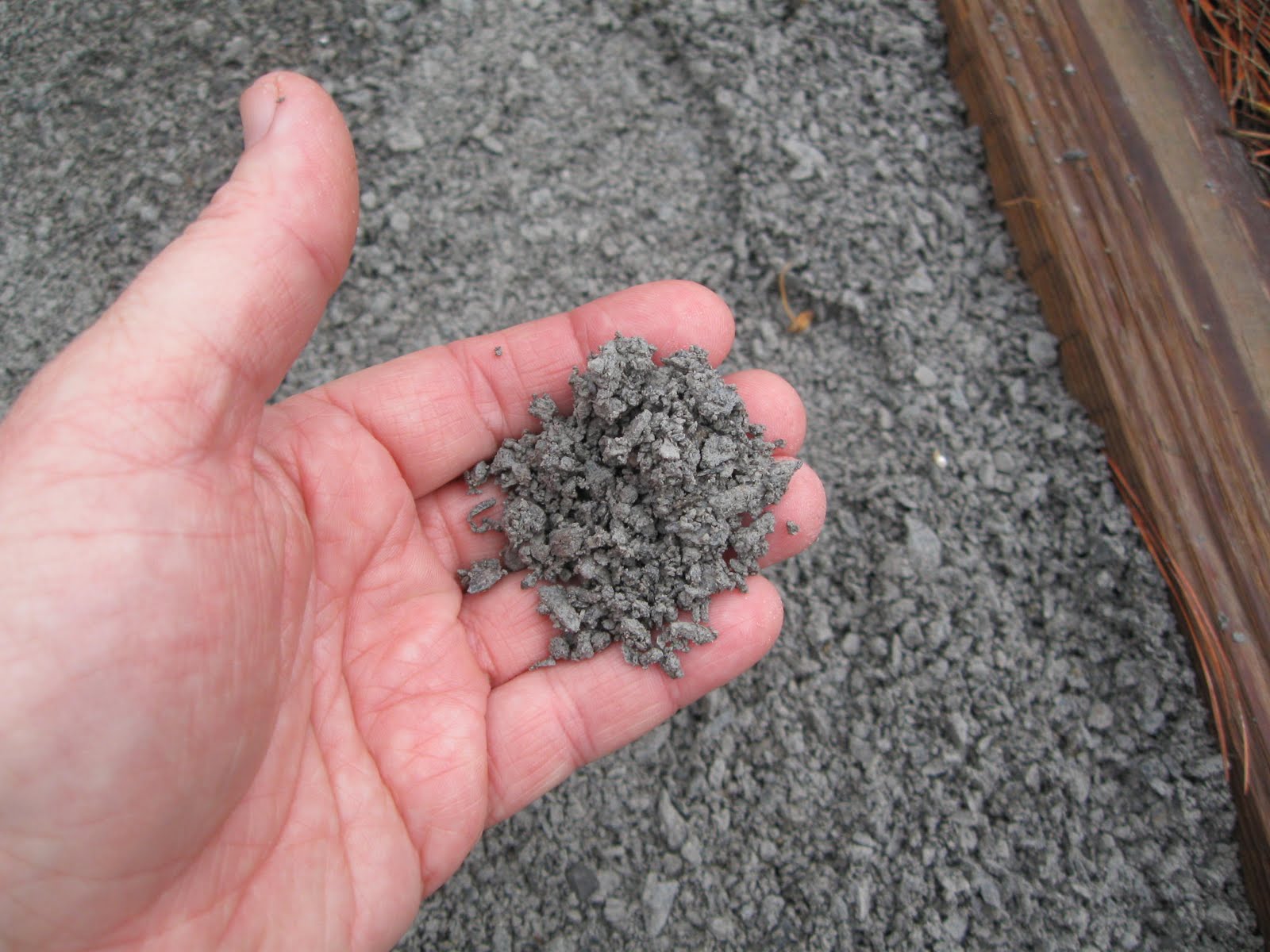 Edifice Rex: Left-Handed Path