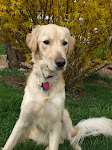 Marley