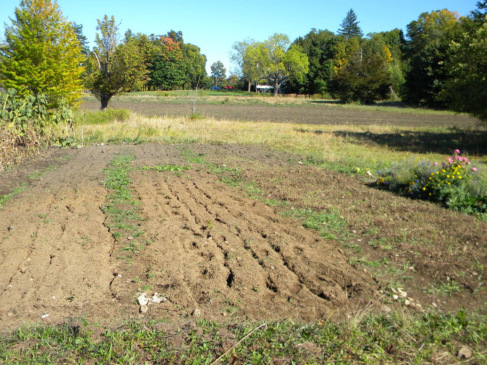 One Happy Little Farm Till The Land
