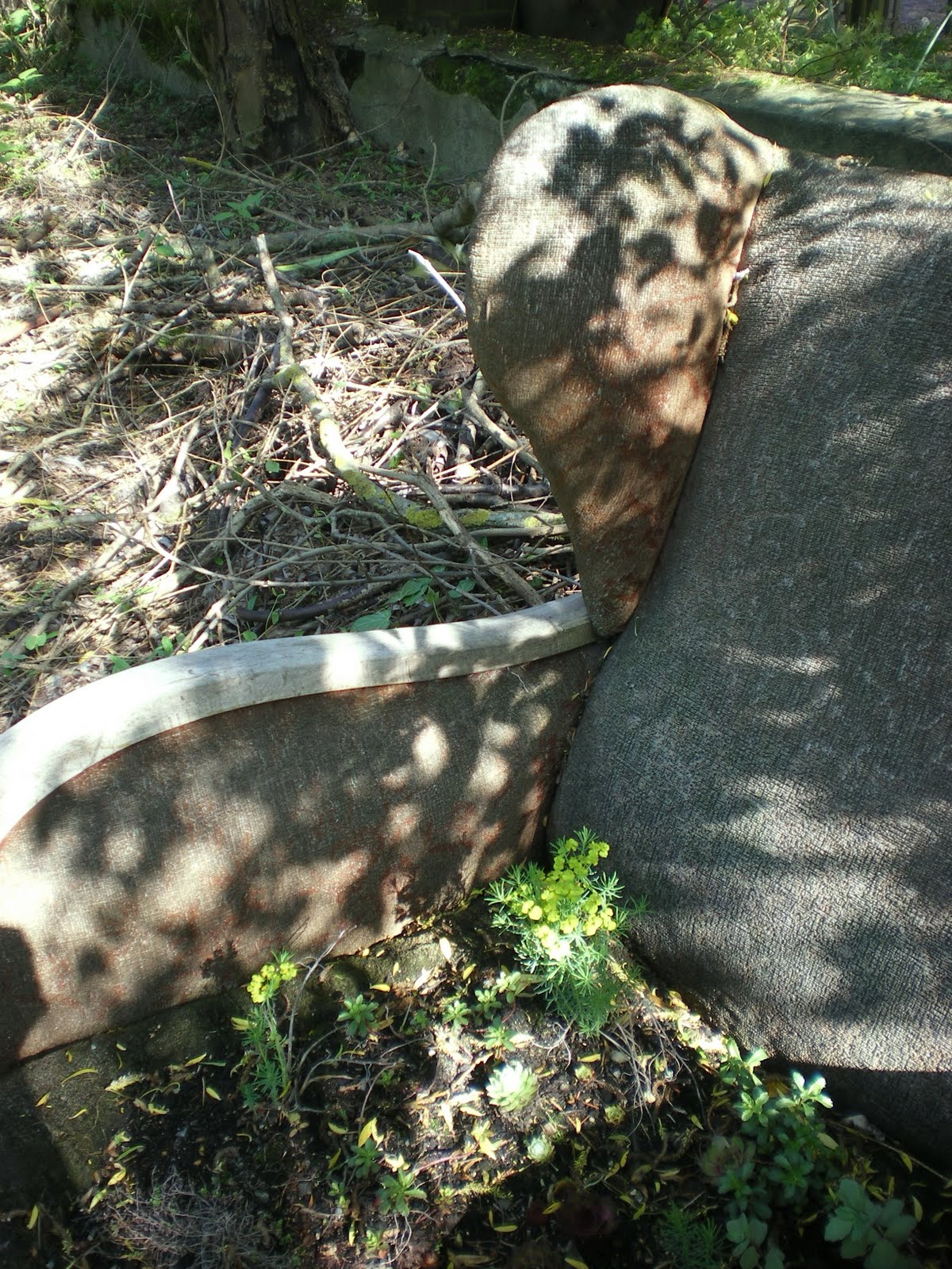 Interprofessionelle Lehre Pdf Kostenfreier Download