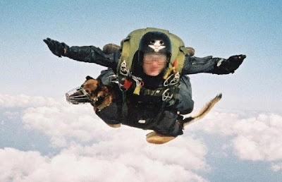 British S.A.S.  HALO jumper with real dog of war