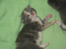 Harmony's Eyes Are Open!