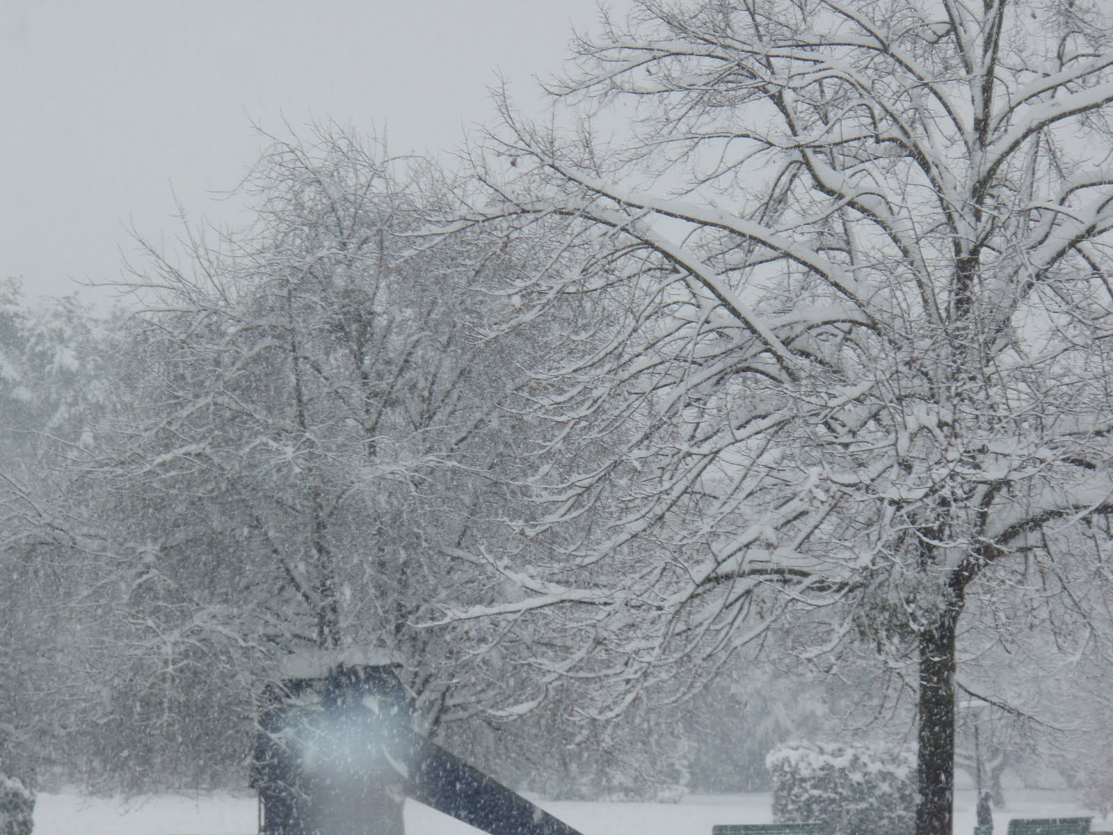 genevathoughts Biggest snow in Geneva since 1985!