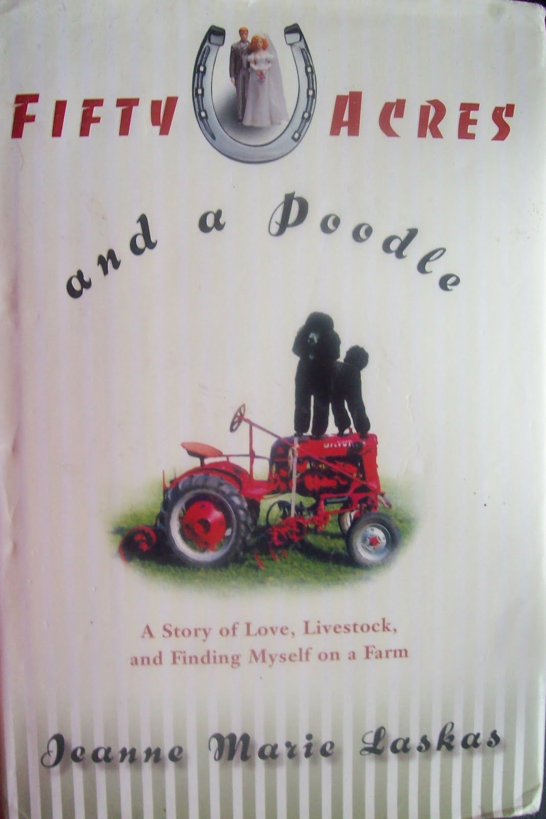 A Story of Love, Livestock, and Finding Myself on a Farm