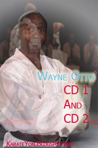 Wayne Otto