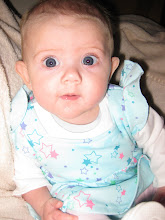 Scarlett - the tato bug