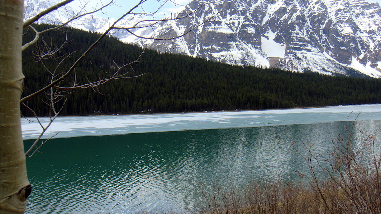 We Did See Turquoise Water in Lake Louise Area