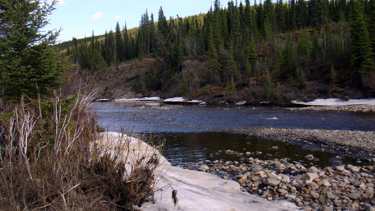 River in Buckinghorse Provincial Park Where We Parked