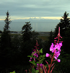 View Across the Bay at Anchor Point