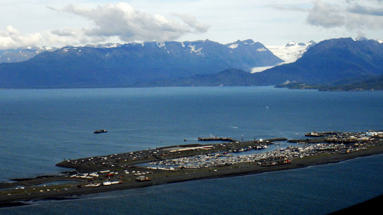 Picture of Homer Spit Taken From the Airplane