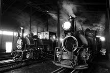 Faster than fairies, faster than witches: The Last Steam Trains