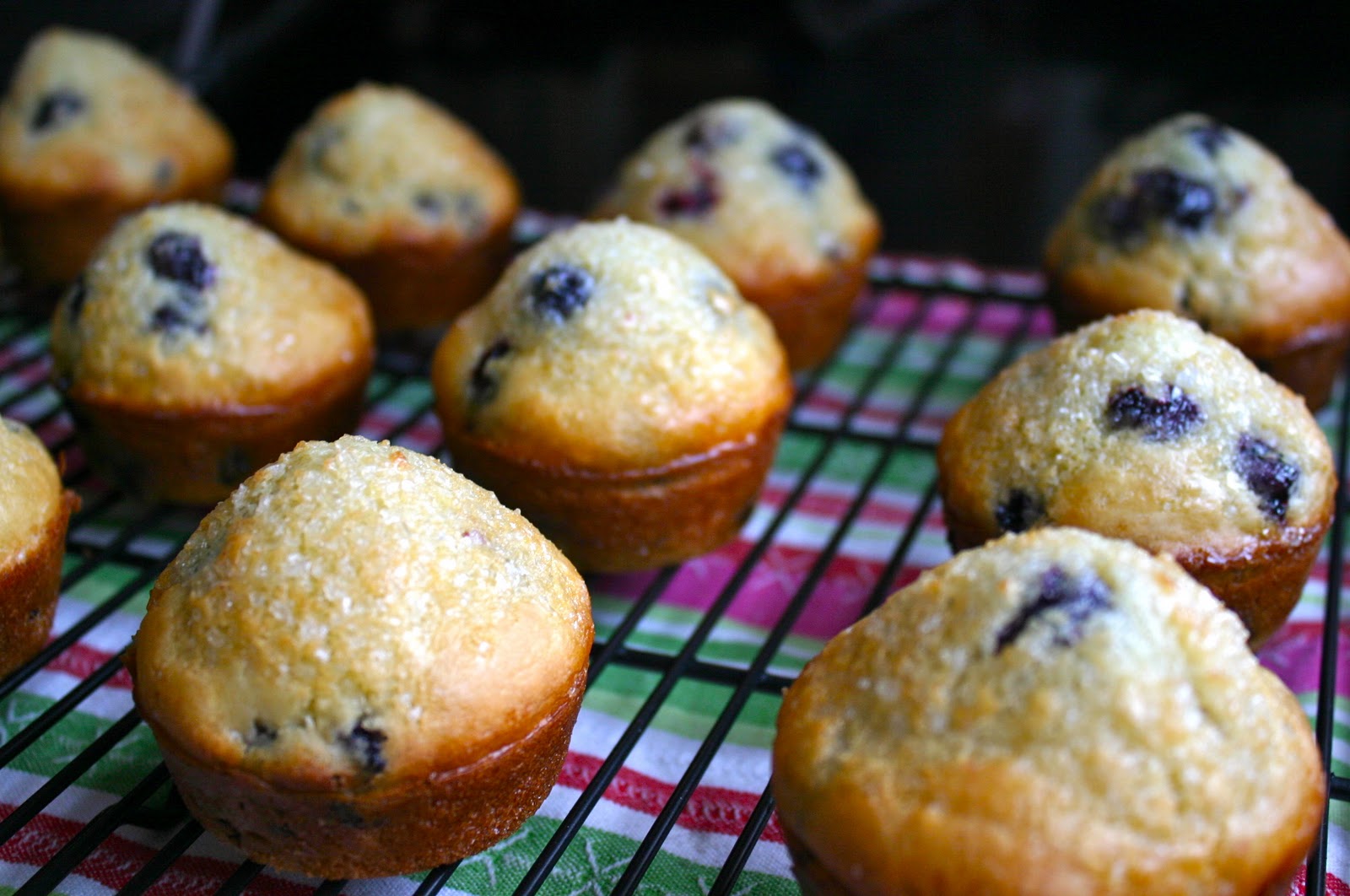 My Retro Kitchen HoneyBlueberry Muffins
