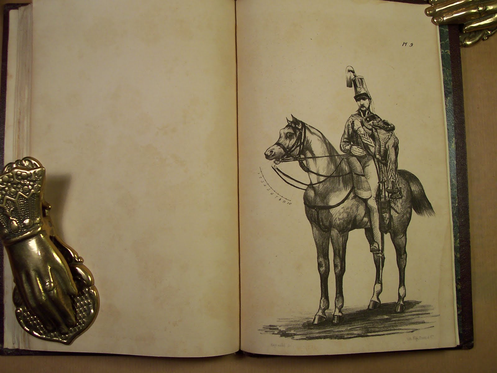 Vieux Cheval De Bataille En 8 Lettres