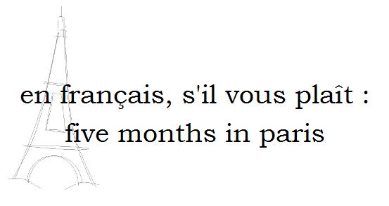 en francais, s'il vous plait: five months in paris