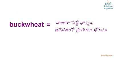 Know Telugu : English Telugu Dictionary: Buckwheat