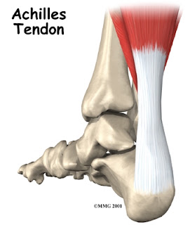 Ejercicios estiramiento tendón Aquiles rendimiento osteon Alaquas centro de fisioterapia Valencia Carlos López Cubas
