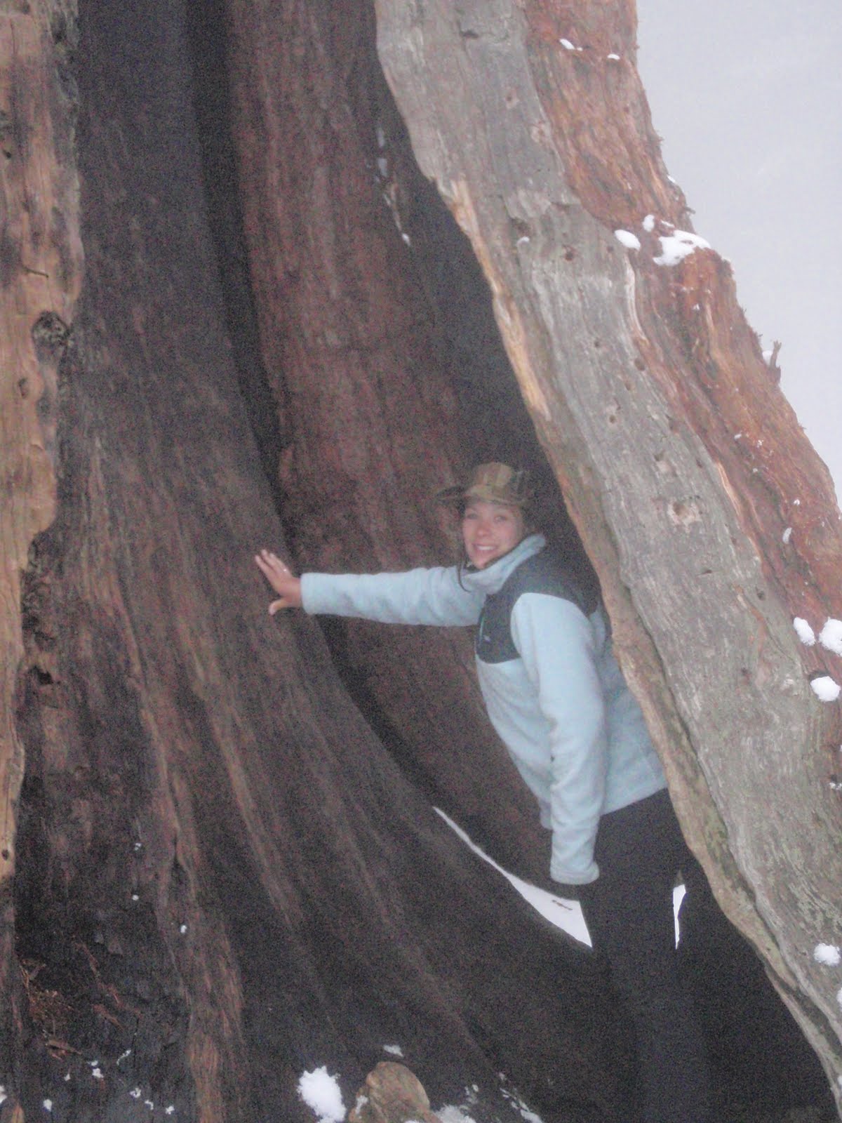 Billy & Sara's Road Trip Adventure!!!: Sequoia National Park, CA