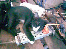 Durmiendo con seguridad