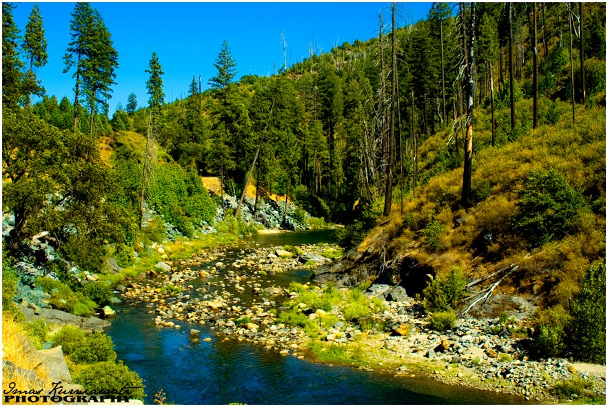 CAPTURED BY IMA AMERICAN RIVER