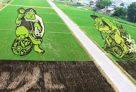 Kia Seen OnCool crop 'art' circles from around the world www.coolpicturegallery.us