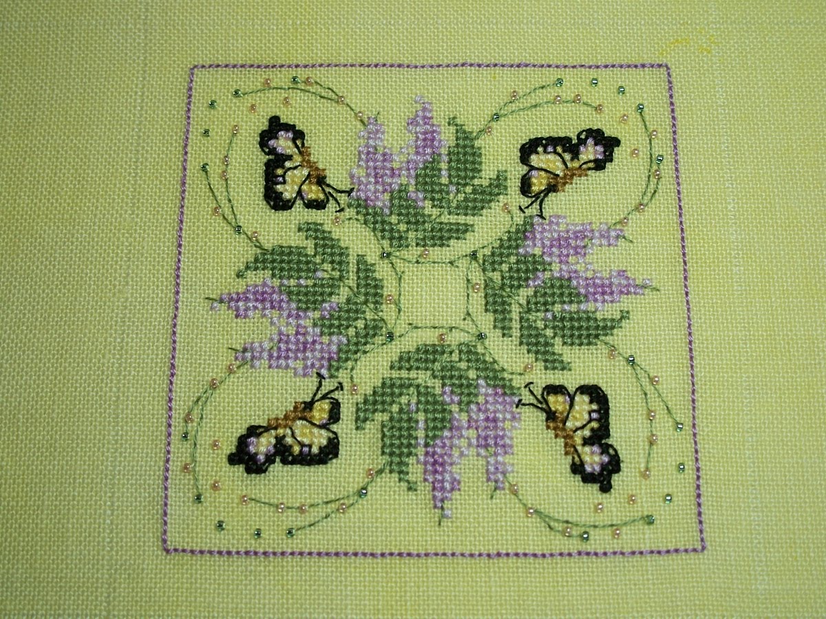 [WB+Butterfly+side.JPG]