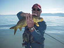 Giant Carp..on the Fly Rod!