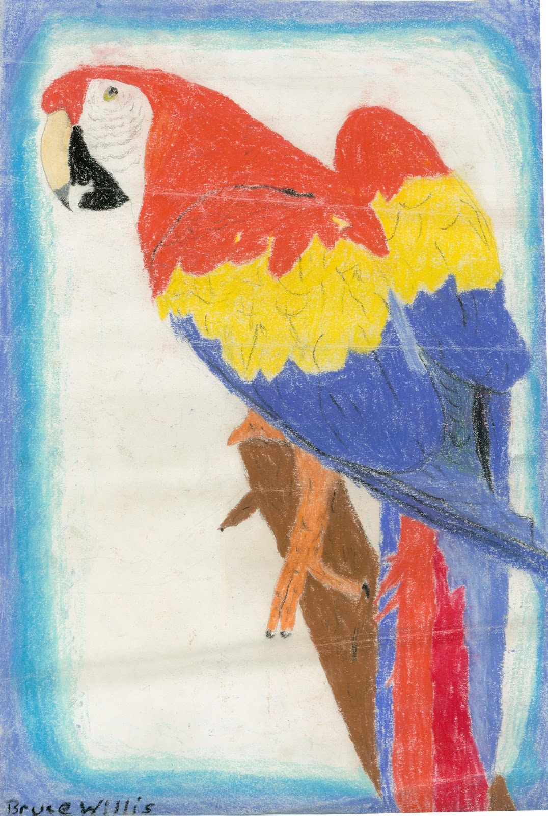 10 lines on parrot in urdu image