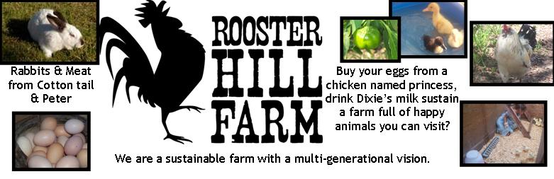 Rooster Hill Farm