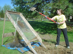 Sifting soil for re-potting