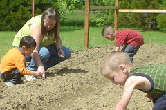 Preschoolers planting sunflowers