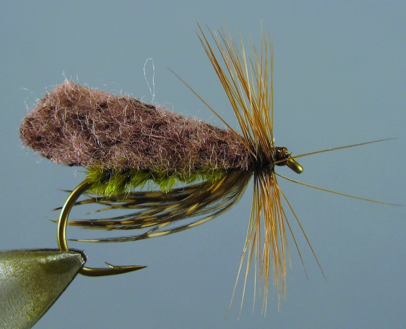 ityeflies: Flies Of Floyd Franke