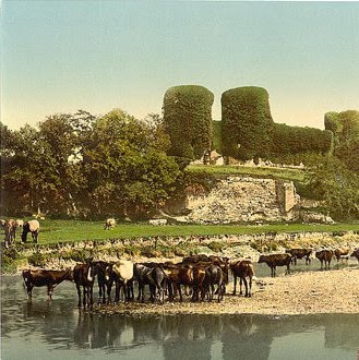 [Rhuddlan_Castle__Rhyl__Wales.jpg]
