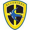 [bluebirdsbadge.jpg]