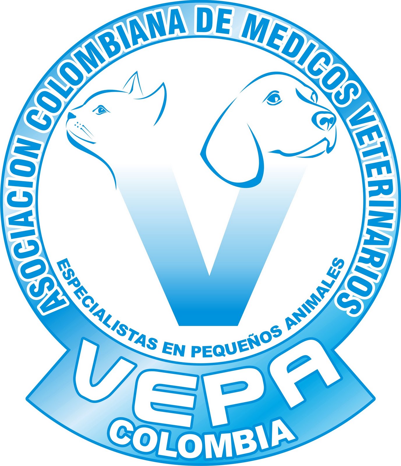 VEPA COLOMBIA