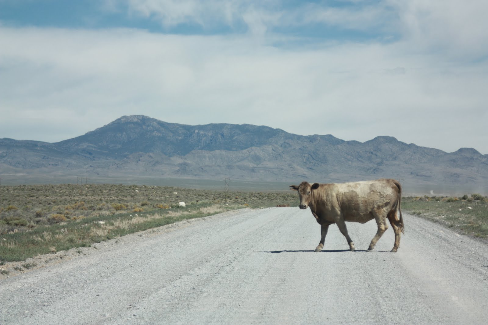 gravesRVtrip New Dig Fossils, Utah